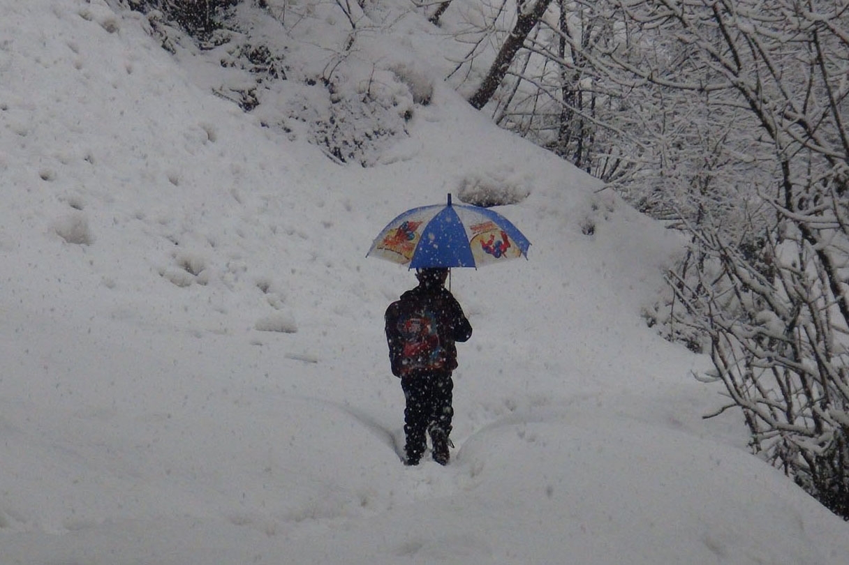 Bitlis yeniden yoğun kar yağışının etkisine girdi